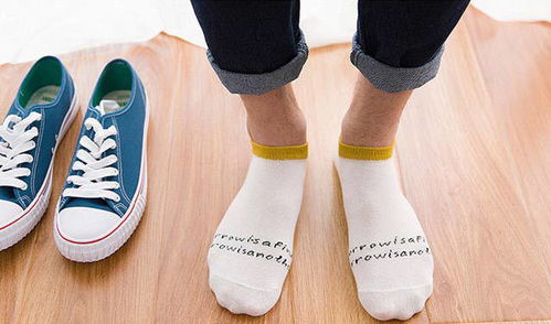 秋季男士襪子選購指南 從短襪到中筒襪的全面解析